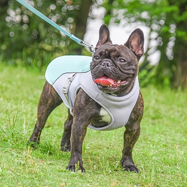 Coleira de Peito Térmica Perro Frío 