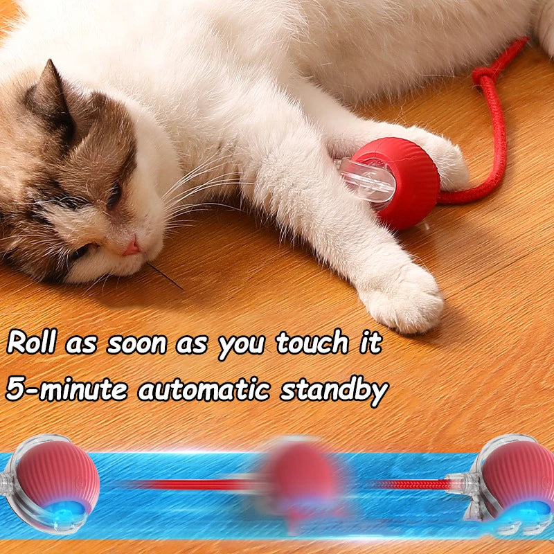 Brinquedo interactivo para Gatos FelineBall 