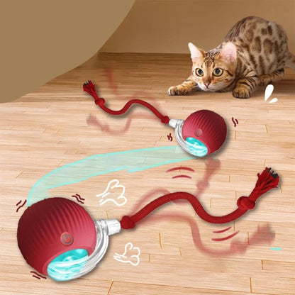 Brinquedo interactivo para Gatos FelineBall 