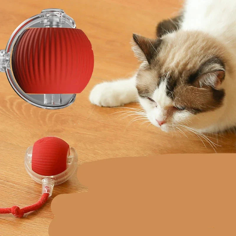 Brinquedo interactivo para Gatos FelineBall 